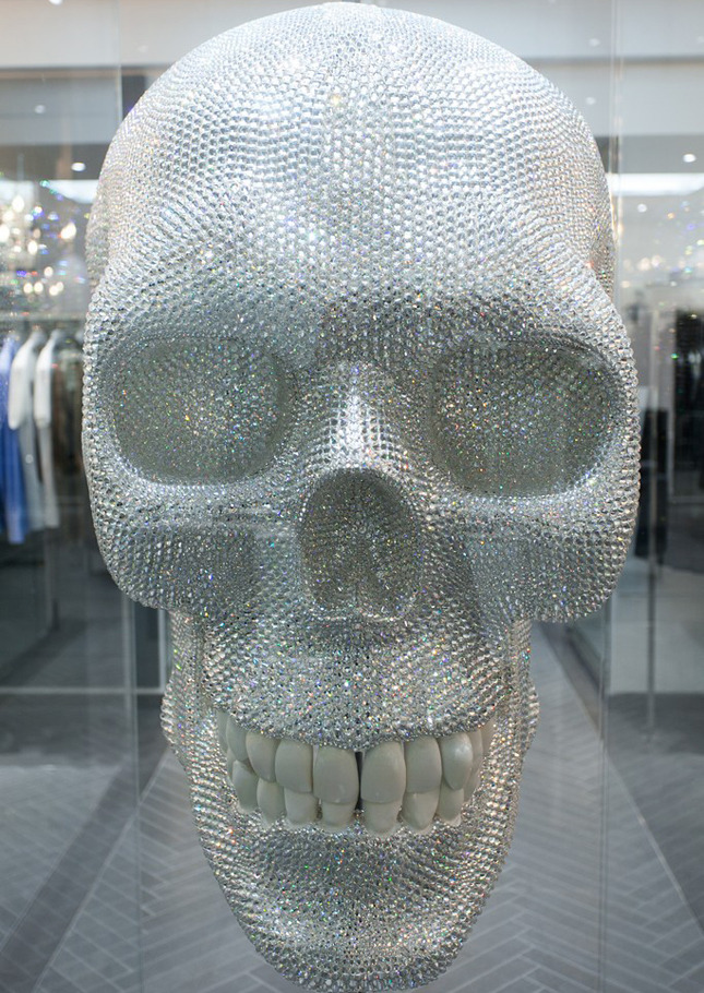 ���� ����������������