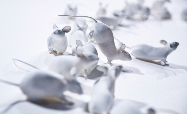 ����������� � ����