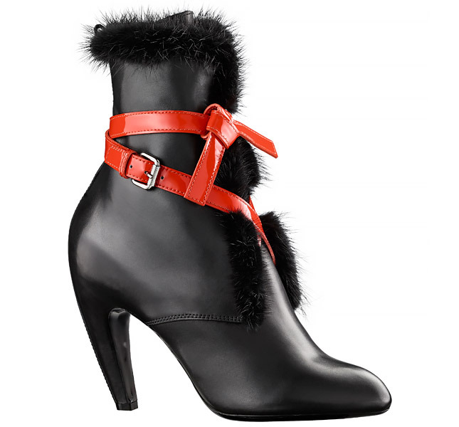 ���� �������