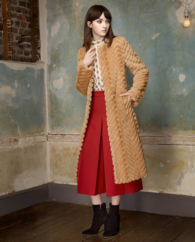 Vilshenko �����-���� 2015