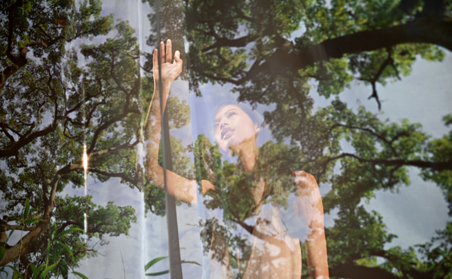 ����������� ��������� Wella Professionals