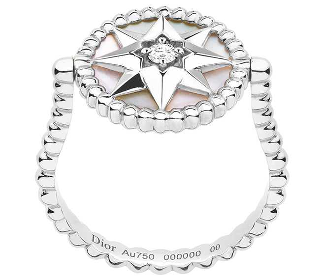 Dior Rose de Vents � ������ � ������