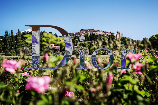 ����� ��������� ����� ������ ��������� ����� �����������