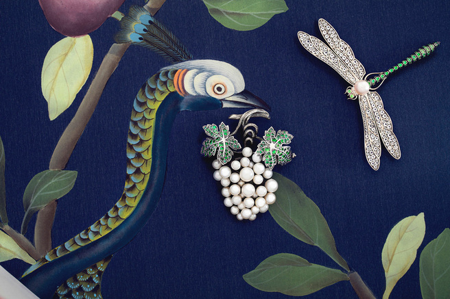 ������� ��������� ��� ����� ��������