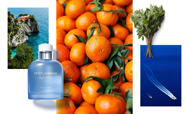 ���� ������ �������� ����� � ������� �������