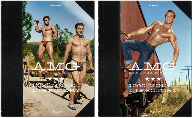 ����� ������� ����������� ������ � ����������� AMG: 1000 Model Directory