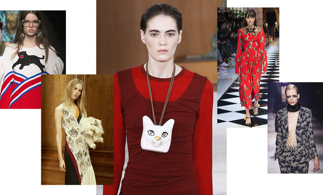 5 ������ �������� �� ������������ � ������� �������� �� �� ������