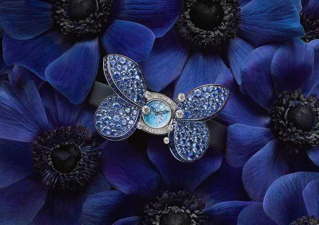 ����������� ����������� Graff