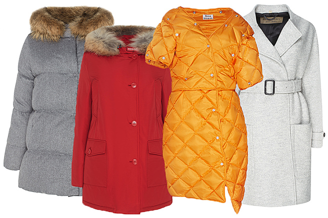 ����������: ������ ��������, �����, ������ � �������