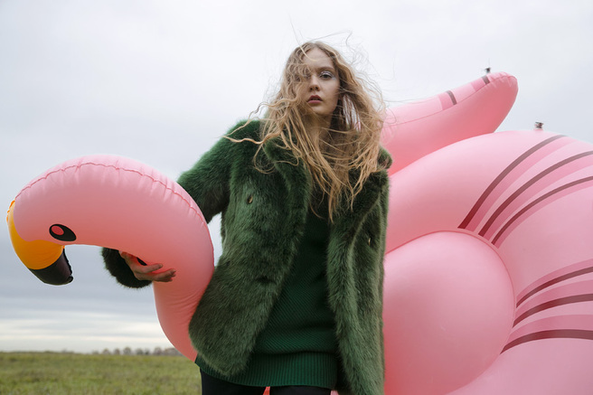 ������������� ���� �������� ������������ �������� � ������ ������ �����