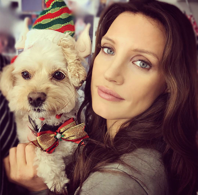 �������� ������� ������ �� �����