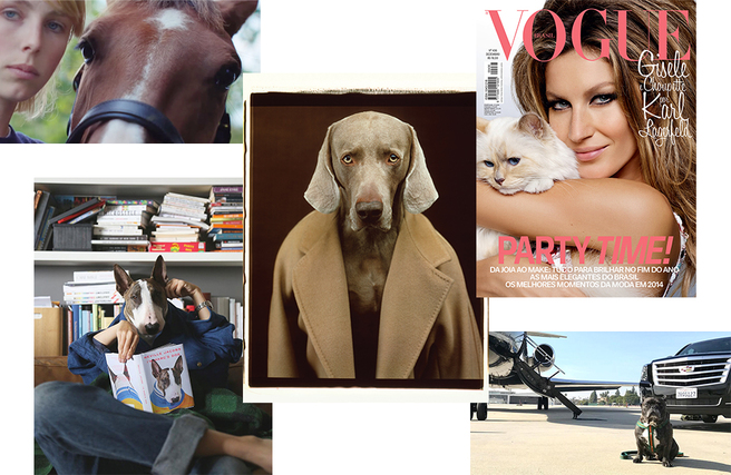 ��������-�����������