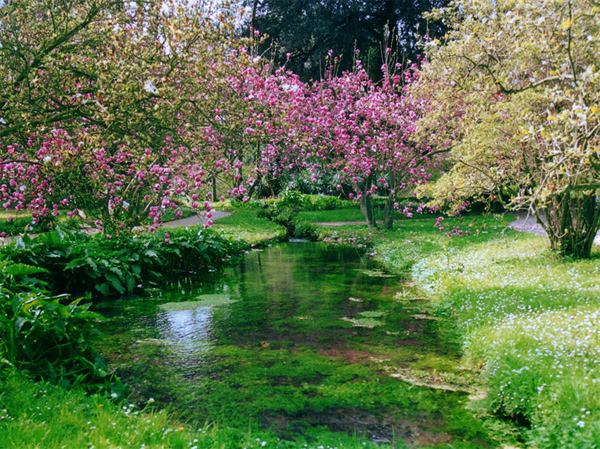   (Giardini di Ninfa)