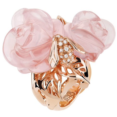 ���� ���: ������ Rose Dior Pr Catelan