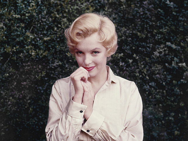 ������� ������ ��������������� ������ �Love, Marilyn�