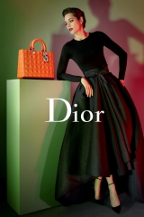 ������ ������ � ����� �������� Lady Dior