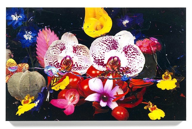 ������� ������������ ��������� � ��������� ����