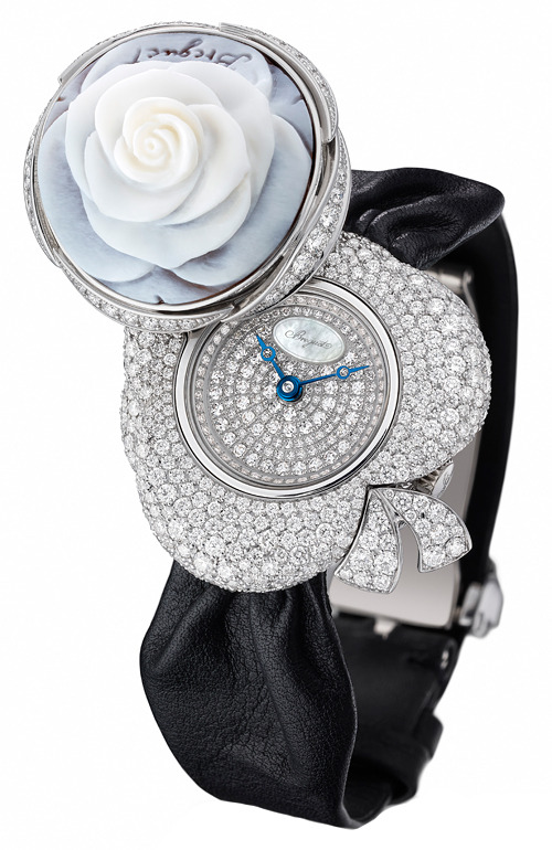 ���� ����� ����������