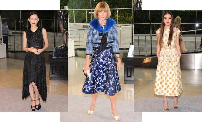 ������ ������ ��������� CFDA 2013