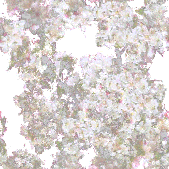 ��������� ���