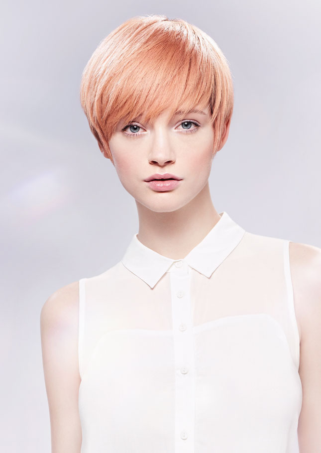 � ������ �����