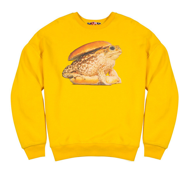 ��������� � ��������